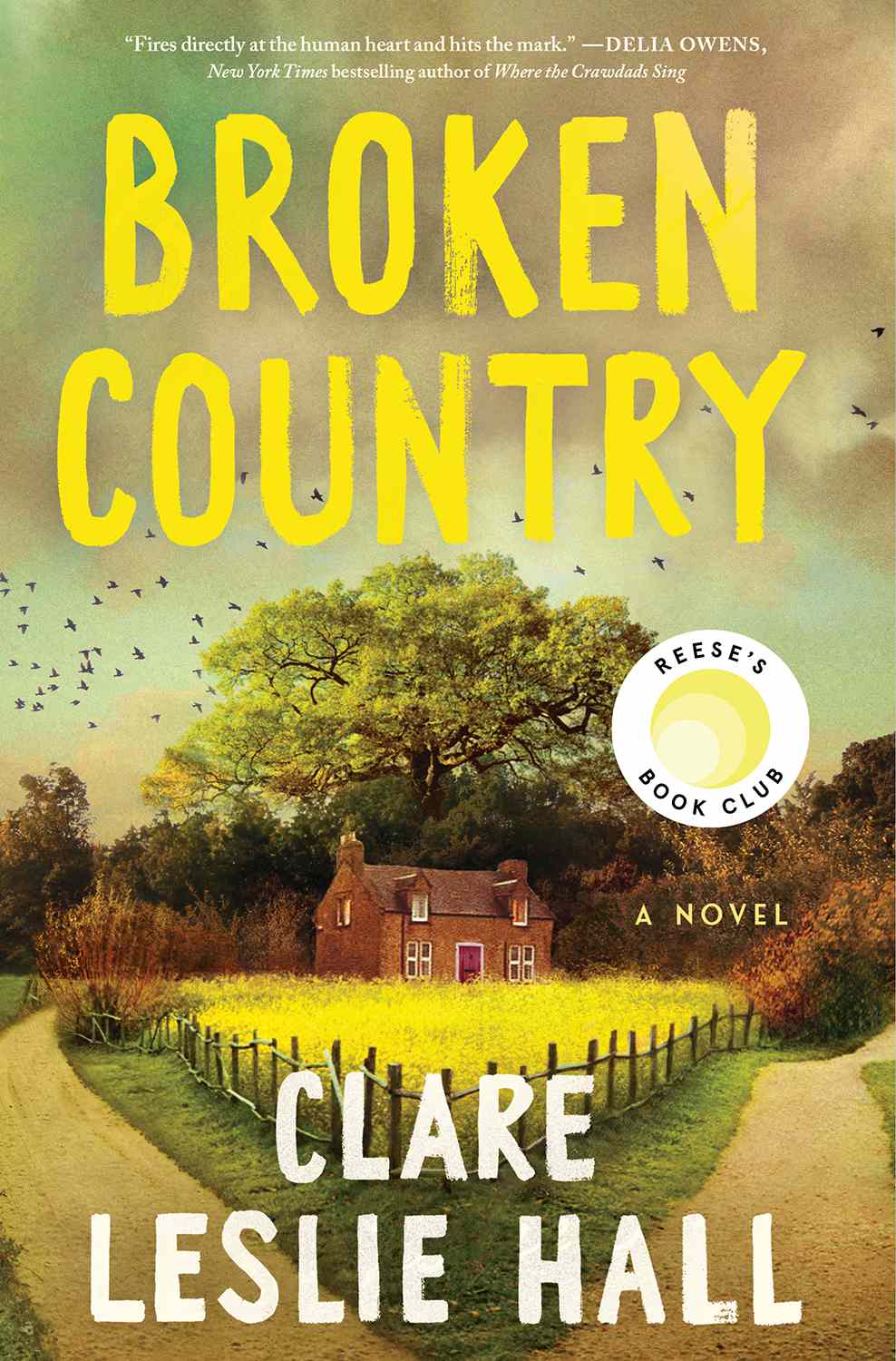 “Broken Country” by Claire Leslie Hall || Alli&nbsp;Reads