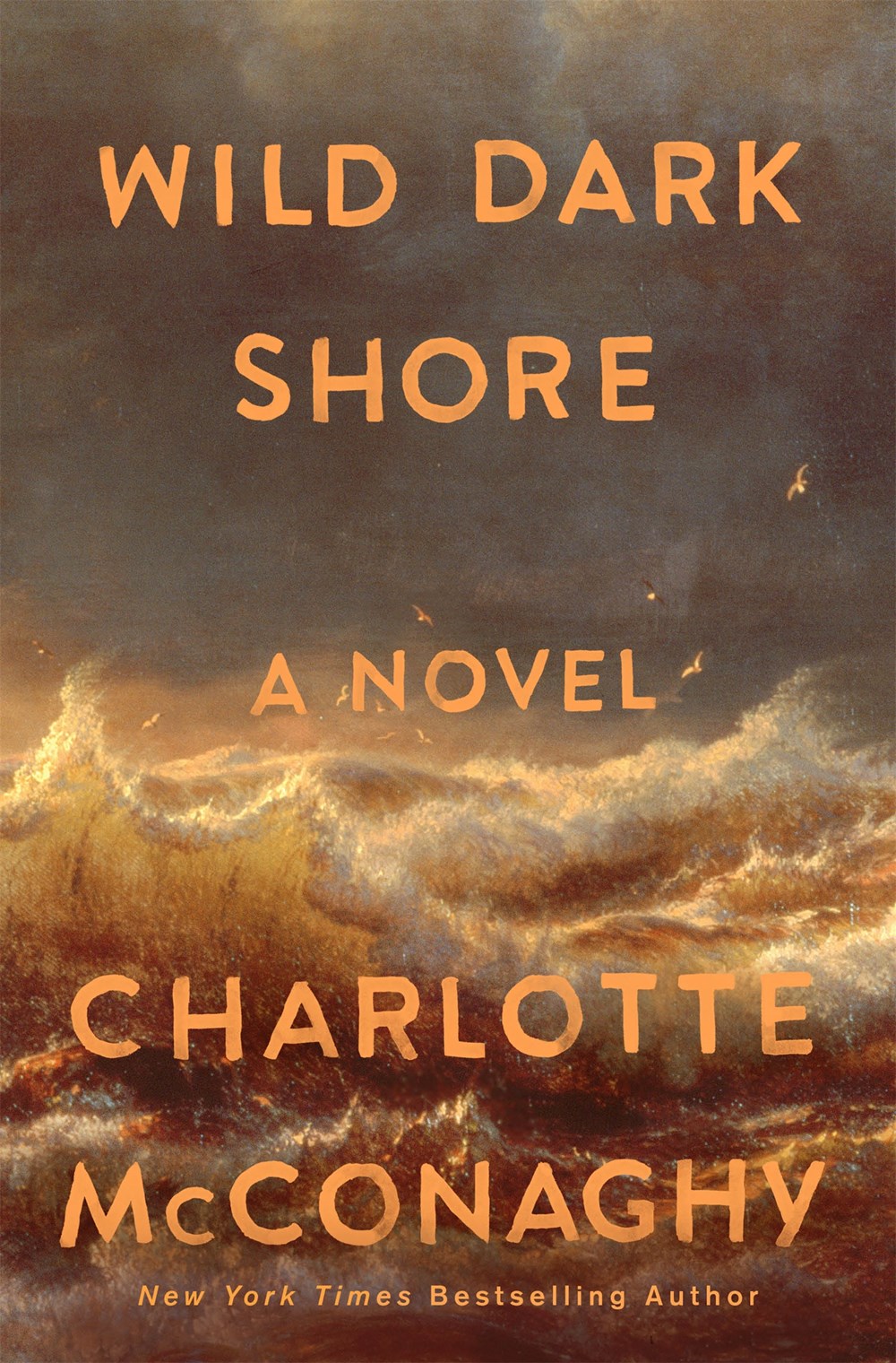 “Wild Dark Shore” by Charlotte McConaghy || Alli Reads